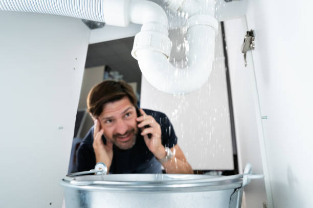 Best Local Plumber Services  in Little Canada, MN